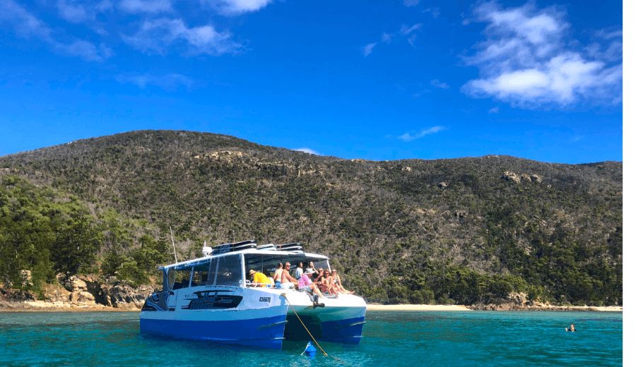 Whitsunday Bullet Private Boat Hire on Sydney Harbour