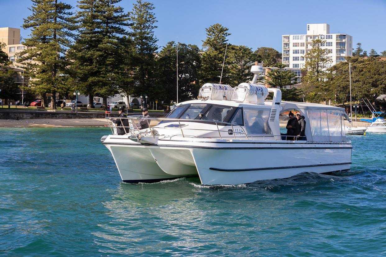 cheeky monkey catamaran